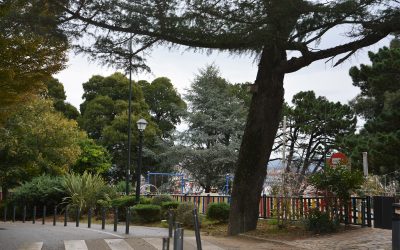 Gestión de los parques de Vigo